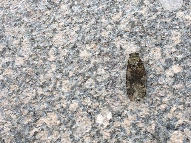 8月1日（月）今日の1コマ