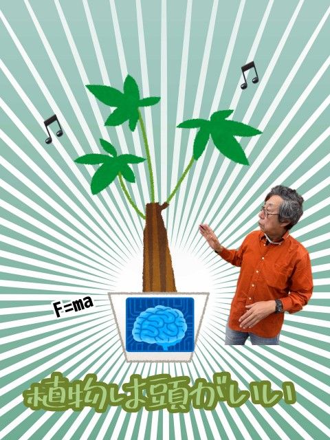 植物は頭がいい