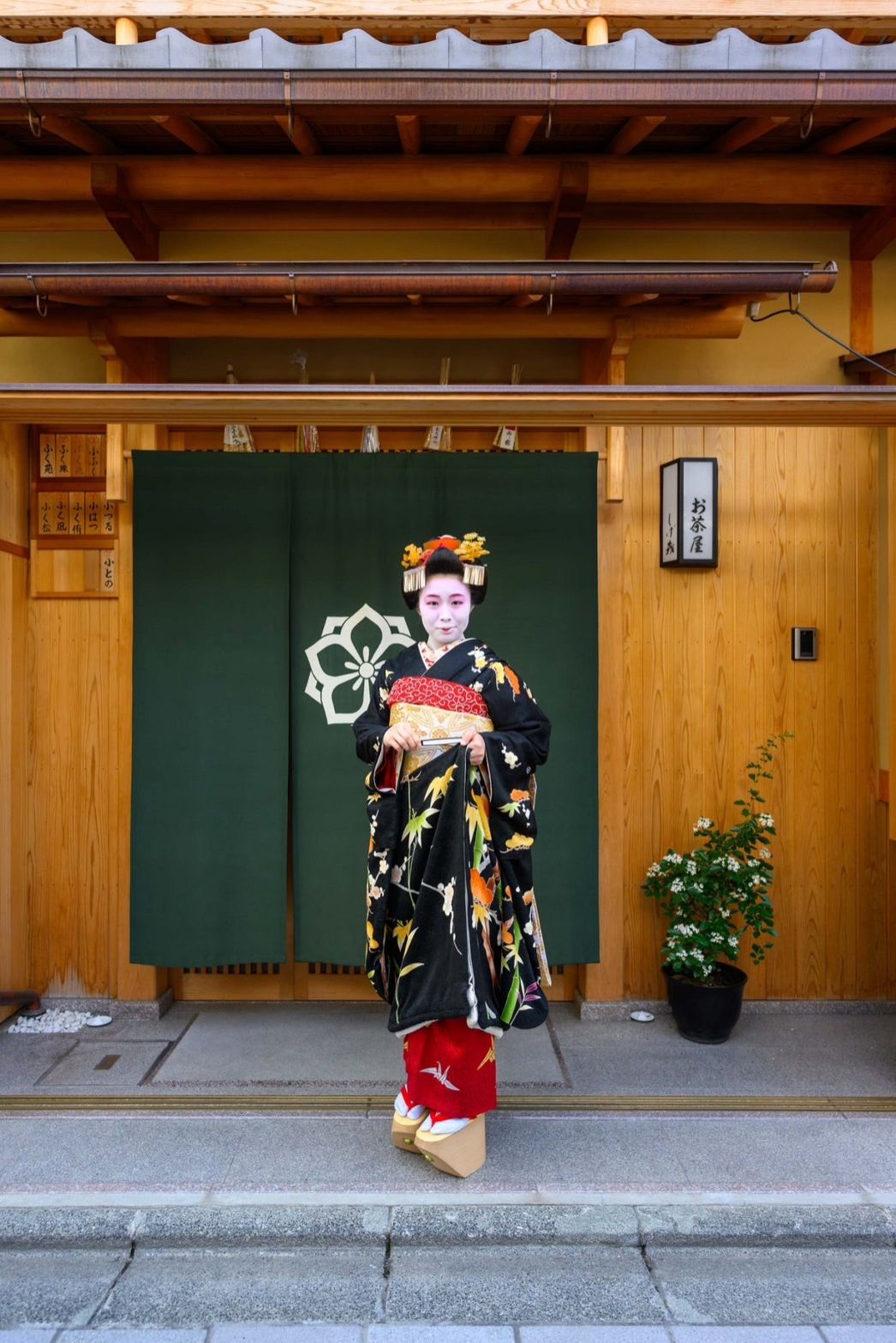 出雲市出身の舞妓「小との」さん【ふるステ】