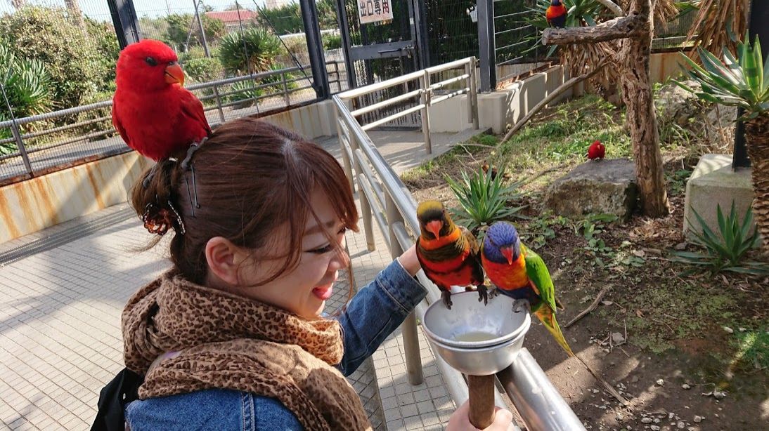 南房総って冬でもあったかいんだからあ