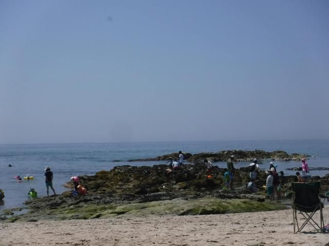 今日のメッセージテーマは「毎日欠かさずやっている事」です♪