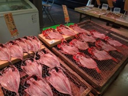 海の恵み満載の沼津で深海魚と海の幸を巡る