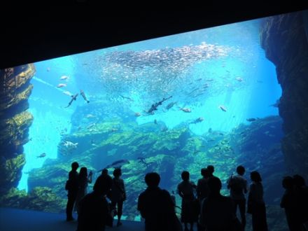 陸海空、仙台アミューズメント体験