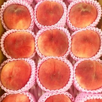 8月14日（水）今日の一コマ