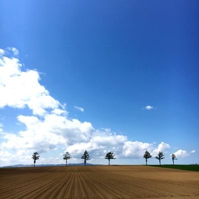 9月1日（火）オンエア楽曲