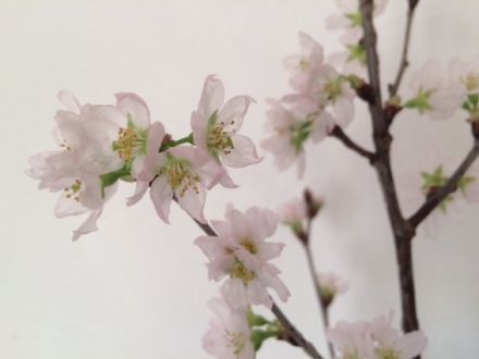 2月9日（火）今日の1コマ