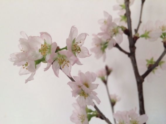 2月9日（火）今日の1コマ