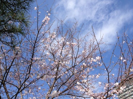 3月22日（火） simple style