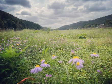 突然終わるアフタートーク