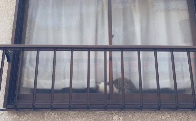 1月15日(金) 今日の1コマ♪