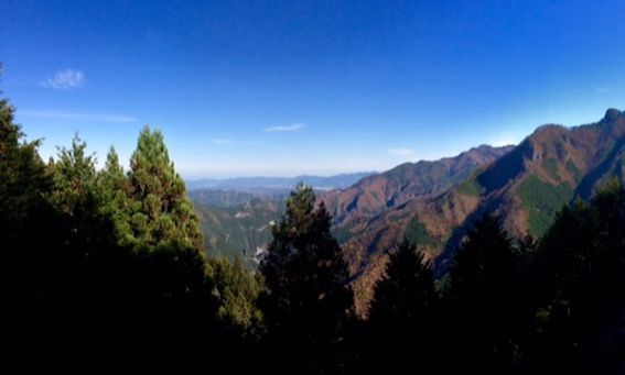 11月10日（火）今日の1コマ