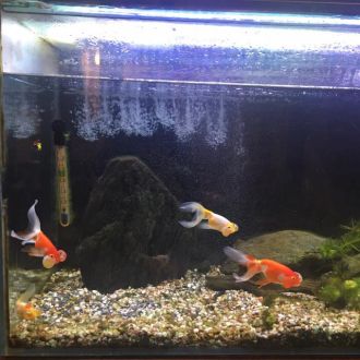 6月8日(金) 今日の1コマ。 