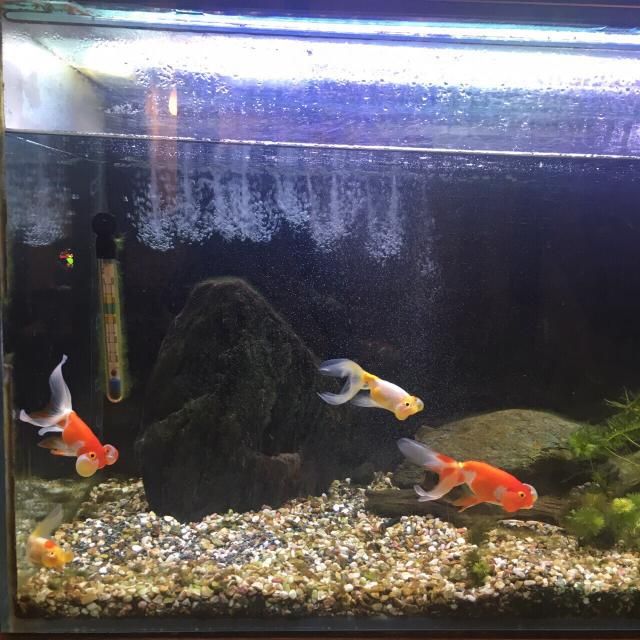 6月8日(金) 今日の1コマ。 