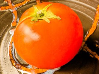 ご当地トマト特集！ 熊本県玉名市産「ソムリエトマト」