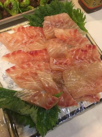今日の1コマは「富山湾のお刺身」