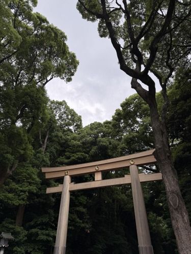 藤井悠のいただき！神宮！