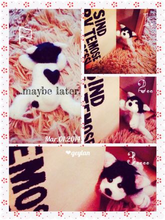 1月28日（水）今日の1コマ