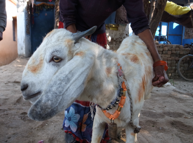 3月12日（月）今日の1コマ　