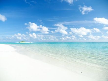 10月9日（月）担当：マシューまさるバロン