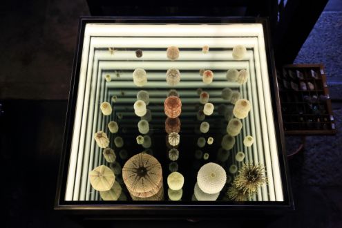 7月27日（月）オヒル ノオト