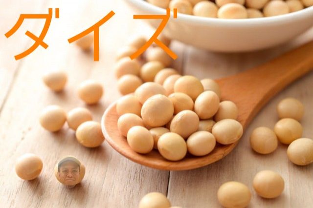 ダイズ