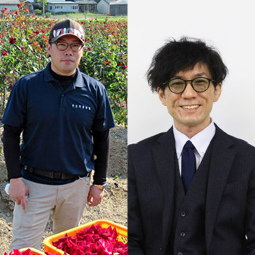 ハートフルデイズvol.166