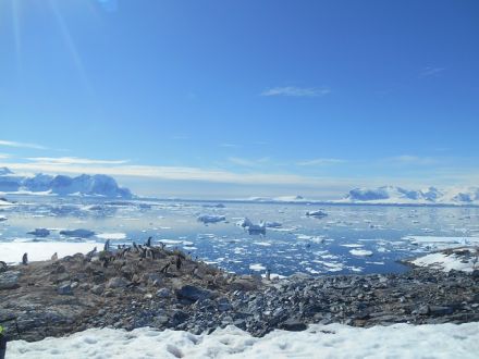 「Dream Planet～oumiのぐるーりとジャーニー」vol.17