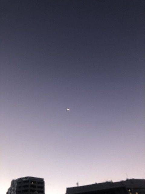 8月9日（月）　今日の1コマ