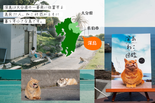 人も猫も幸せに暮らす「深島」　深島ぷろじぇくと・藤原容子さん（大分）