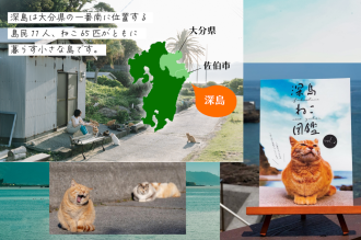 人も猫も幸せに暮らす「深島」　深島ぷろじぇくと・藤原容子さん（大分）