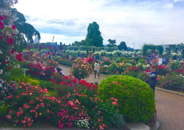 5月9日（水）今日の一コマ