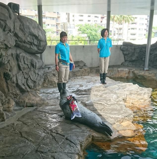 今日のメッセージテーマは「渋滞エピソード」