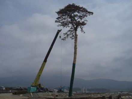 復興の礎…岩手、陸前高田・大船渡の今