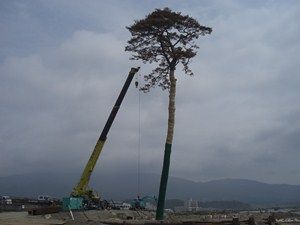 復興の礎…岩手、陸前高田・大船渡の今
