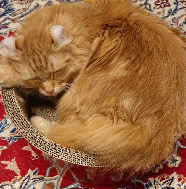 今日のテーマは『家族のあるある』