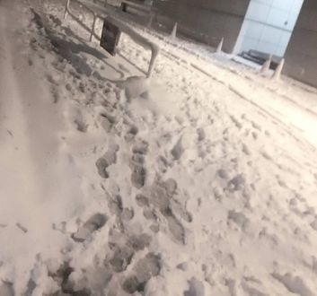 1月29日（月）  今日のメニューは？