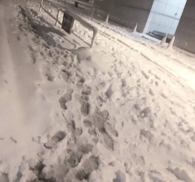 1月29日（月）  今日のメニューは？