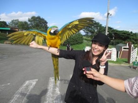 おもわず笑顔が生まれる！？栃木ドライブ旅！