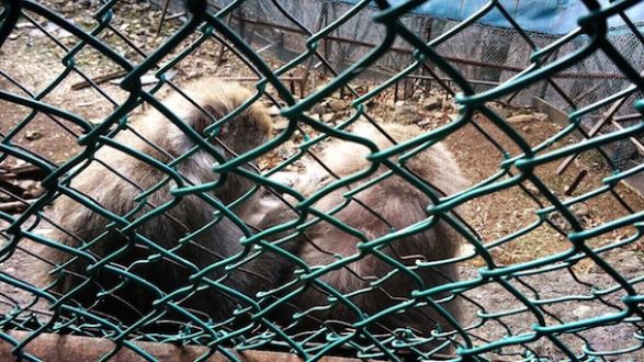 1月1日（金）今日の1コマ