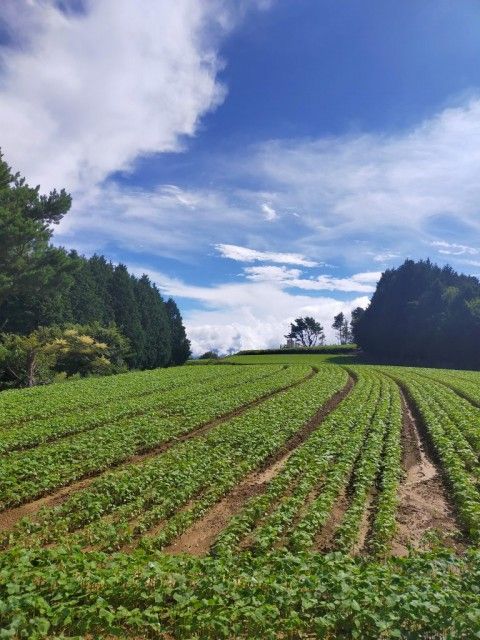 お宝ファイルNO.48　島が峰と島が峰の原風景を守る会