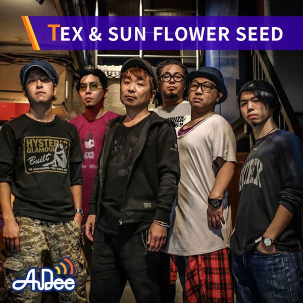 TEX &amp; SUN FLOWER SEED「太陽のリズム」