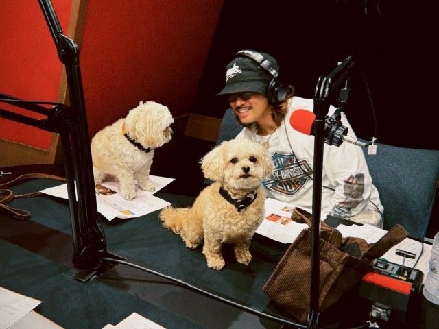 龍友　愛犬・殿＆若 爆走！！ KAZ新曲を語りつくす1週間?  鈴木愛理さんも登場??