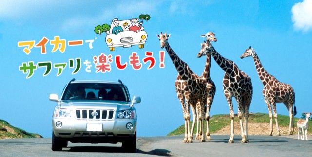 九州自然動物公園　アフリカンサファリ