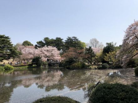 4月3日(火）  今日のメニューは？