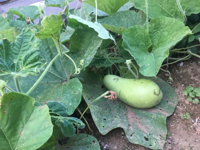 9月13日(金)今日の1コマ♪