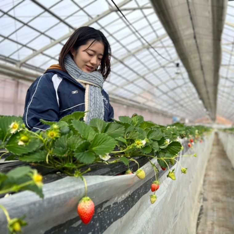 お手伝いをする旅／株式会社おてつたび ・永岡里菜さん