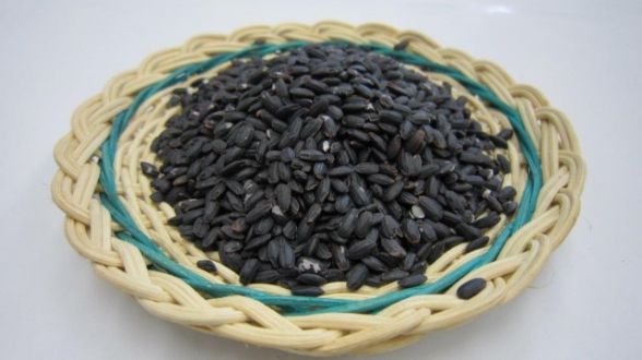 第24回「宇多津町の”黒い米”」2022.09.20