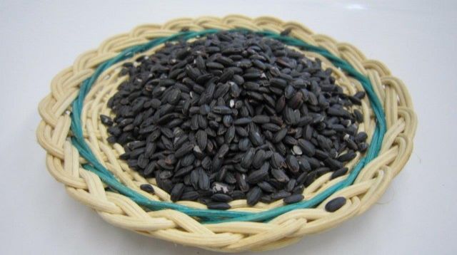 第24回「宇多津町の”黒い米”」2022.09.20