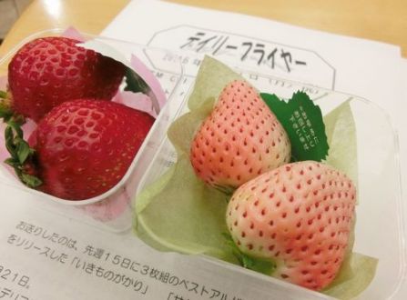 3月21日（月・祝）のデリフラは・・・・