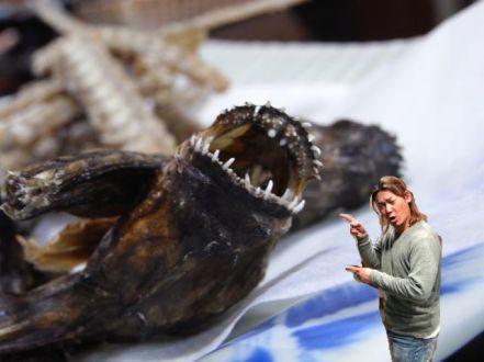 2019年4月4日(木)放送終了！